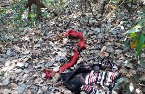 CORPO DE MULHER É ENCONTRADO EM DECOMPOSIÇÃO ÀS MARGENS DA SP 270 EM OURINHOS.