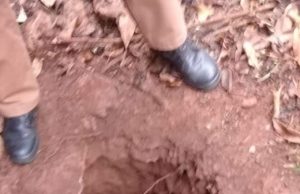 Fuga em massa da Cadeia pública de Cambará.