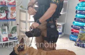 Cadela Tróia do Canil da Policia Militar salva vida de cadelinha yorkshire em Jacarezinho.