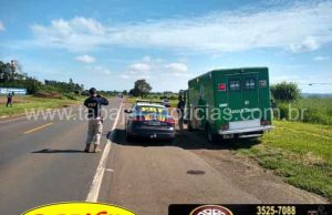 Homem é encontrado morto as margens da BR 153 em Jacarezinho, corpo tinha sinais de possível atropelamento.