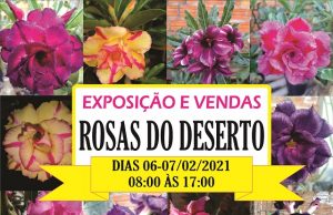 Feira de exposição e vendas de Rosas do Deserto, orquídeas e suculentas em Jacarezinho.