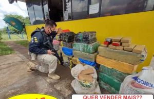 PRF apreende quase meia tonelada de maconha em Santo Antônio da Platina.