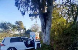 Motorista perde o controle, sai da pista e bate em arvore em Jacarezinho.