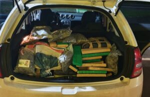 PRF apreende carregamento de maconha em Jacarezinho.