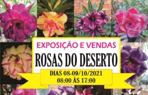 2ª Feira de exposição e vendas de Rosas do Deserto, Cactos e Suculentas.