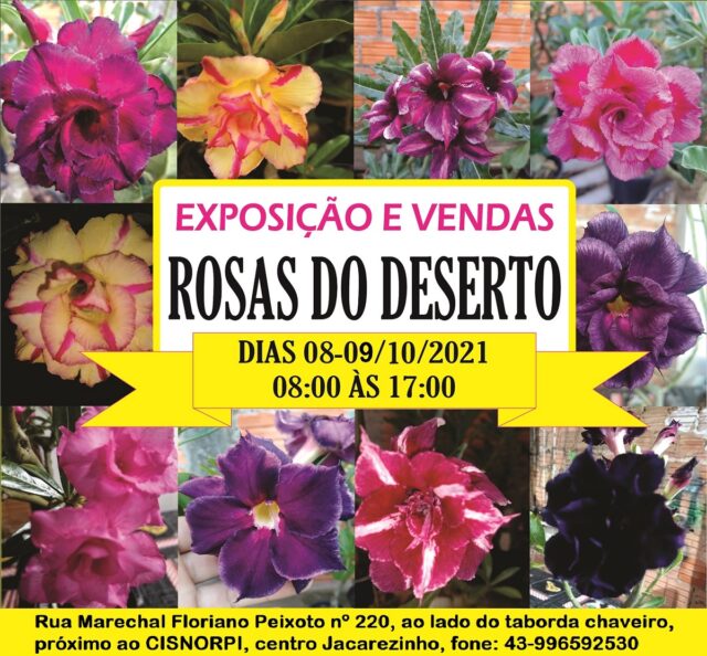 TABAJARA EXPOSICAO Outubro