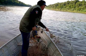 Pesca de espécies nativas está proibida até fevereiro no Paraná.