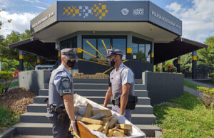 Policia apreende maconha em caixão funerário em Assis.