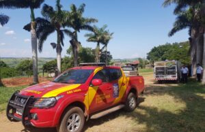 Pescador encontra corpo de mulher com pés amarrados no Rio das Cinzas.