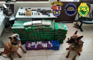 2º BPM apreende grande quantidade de 231 quilos de Maconha e mais de 4 quilos de Cocaína em Cambara.