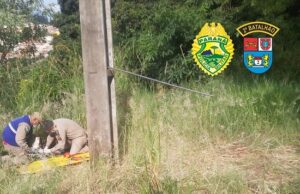 Homem sofre descarga elétrica ao tentar furtar fios em poste de energia na área rural.