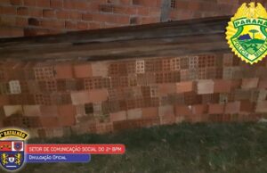 Homens são presos acusados de furtar quatro mil tijolos em jacarezinho.