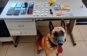 Policia Militar prende suspeito de tráfico com cocaína em Cambará.