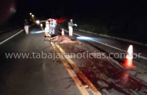 Cavalo solta na pista provoca acidente na BR 153 em Jacarezinho.