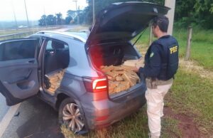 PRF faz apreensão de quase meia tonelada de maconha na região da divisa de Jacarezinho (PR) a Ourinhos (SP).