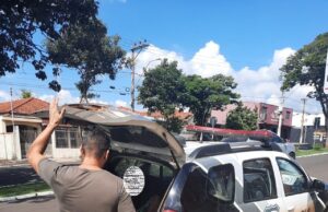 Motorista que matou jovem em acidente de transito em 2011 em Jacarezinho, é preso pela Policia Civil após mandado de prisão.