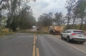 Vendaval assusta e causa prejuízos no norte paranaense.