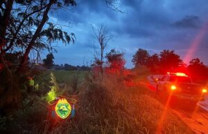 Duas pessoas ficam feridas em acidente na PR-092.