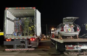 Paraná lidera apreensões de maconha no país, aponta Ministério da Justiça.