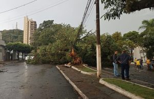 Temporal causa pânico e prejuízos e deixa quase 10 mil pessoas sem energia elétrica em Santo Antônio da Platina .