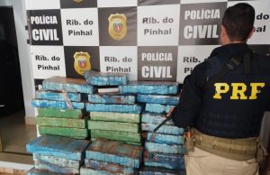 PRF apreende mais de 600 quilos de Maconha no norte pioneiro.