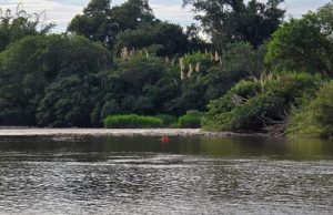Jovem de 16 anos desaparece nas águas do Rio das Cinzas em Bandeirantes