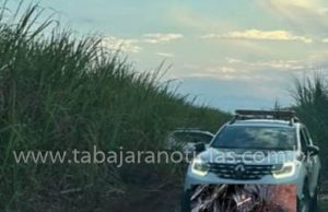 Corpo de mulher é encontrado carbonizado em canavial em Ourinhos.