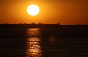 Estado de alerta: Paraná atinge momento mais crítico para casos de queimadas florestais.