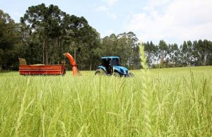 Governo renova Fundo de Aval para garantia em financiamentos à agricultura familiar.