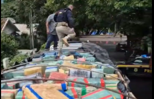 PRF apreende 19,5 toneladas de maconha e realiza a maior apreensão da droga do sul do Brasil.