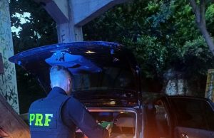 PRF apreende quase meia tonelada de maconha em Ribeirão Claro/PR.