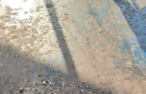População denunciam que fezes de pombos estão colocando alunos em risco, levamos ao conhecimento e secretaria já se pronunciou.