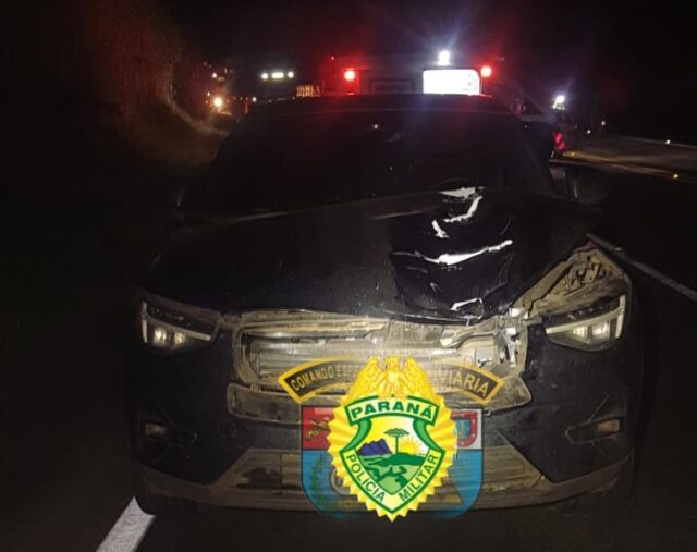 WhatsApp Image 2025-06-17 at 07.16.28