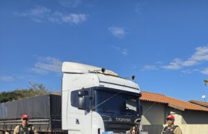 CANIL do Batalhão de Polícia Rodoviária apreende uma tonelada de maconha em Rolândia/PR