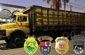 Polícia desarticula quadrilha de furto de gado no Norte Pioneiro