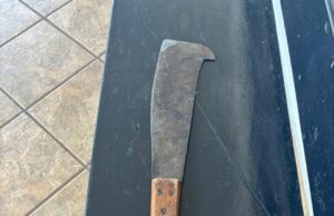 Homem é preso após ameaçar familiares com facão em Santo Antônio da Platina