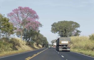 JACAREZINHO Duplicação da BR-153 tem licença ambiental aprovada!
