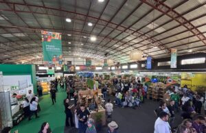 FICAFÉ e Feira de Sabores em Jacarezinho: vitrine do Norte Pioneiro e símbolo de desenvolvimento regional
