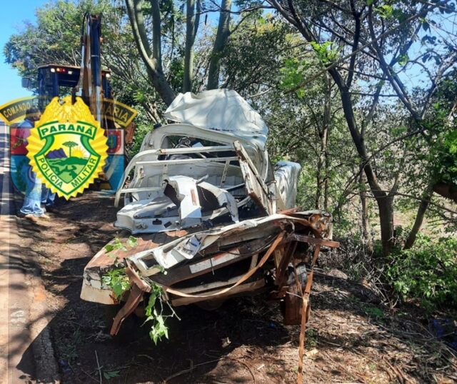 WhatsApp Image 2025-11-08 at 19.23.12