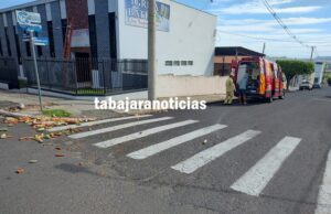 Arvore atrapalha visão de motorista e causa acidente no centro de Jacarezinho.