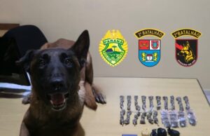 Policia Militar prende homem por tráfico de drogas durante patrulhamento em Santo Antônio da Platina