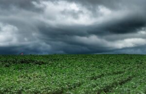 Tempestades atingem Campos Gerais e Norte do Paraná e seguem em direção ao Leste