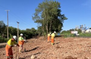 Rio Paranapanema: EPR Litoral Pioneiro e IAT realizam ação com plantação de árvores nativas em Jacarezinho