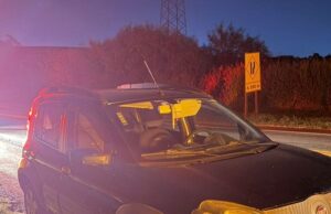 Mais um acidente envolvendo Javali nas rodovias do norte Pioneiro.