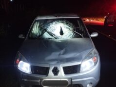 Homem more atropelado na PR 439, em Santo Antônio da Platina.
