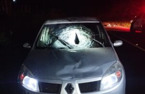 Homem more atropelado na PR 439, em Santo Antônio da Platina.
