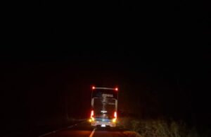Ônibus atropela bovino na PR-092 em Santo Antônio da Platina
