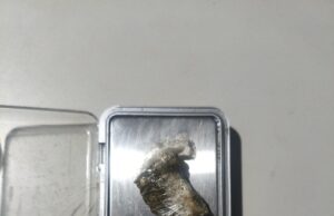 POLICIA MILITAR APREENDE MACONHA E VEICULO EM ABORDAGEM COM APOIO DO CANIL EM JACAREZINHO.