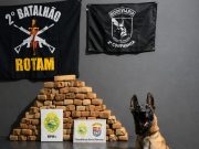 Policia Rodoviária em conjunto com Policia Militar prendem grande quantidade de drogas na BR 369 emAndirá.
