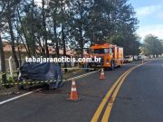 Motorista morre após carro colidir contra árvore na PR-151 em São José da Boa Vista